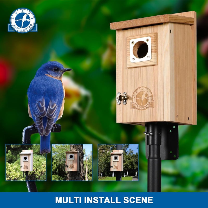 SISTERBIRD Bird Houses for Outside 1-1/2” Entrance Hole Cedar Birdhouses with Metal Guard Outdoor Bluebird Wren Swallow Finch Asssembly Required - Image 2